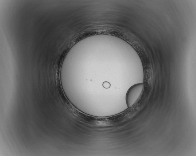 X0000116580510200912101312