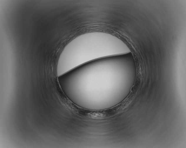 X0000116580512200912101312