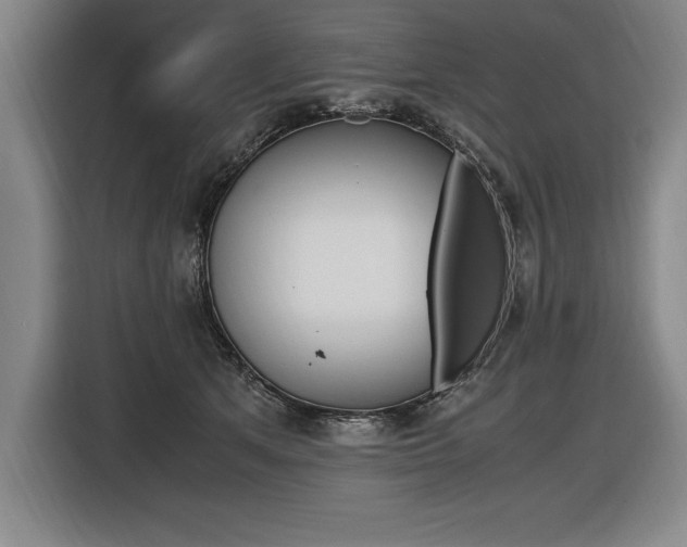 X0000116580513200912101312