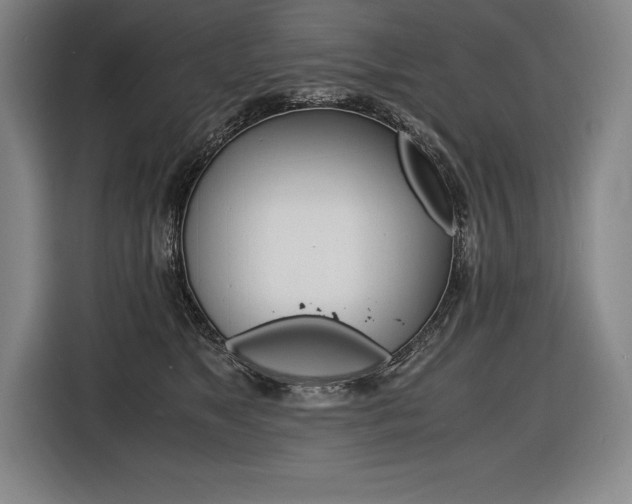 X0000116580517200912101312