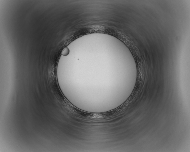 X0000116580518200912101312