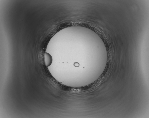 X0000116580519200912101312