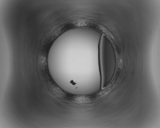 X0000116580521200912101312