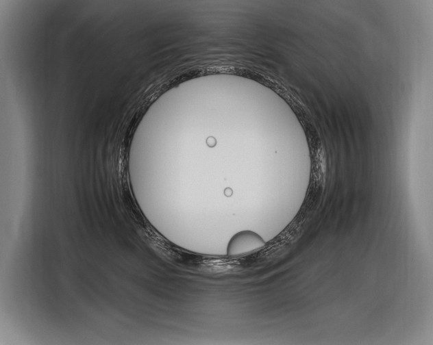 X0000116580522200912101312