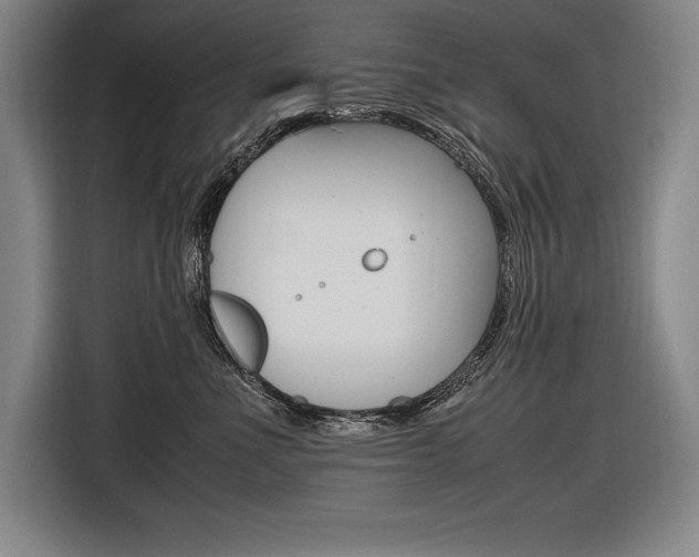 X0000116580523200912101312