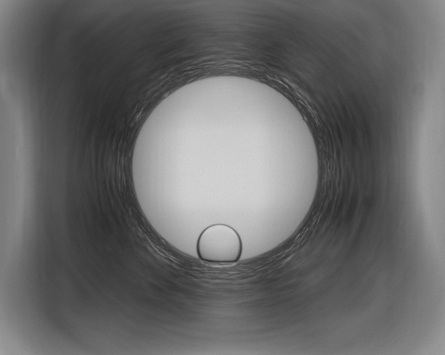X0000116580524200912101312