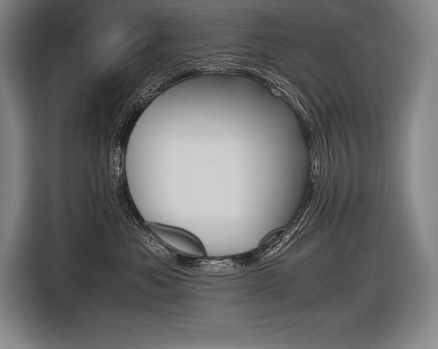 X0000116580525200912101312
