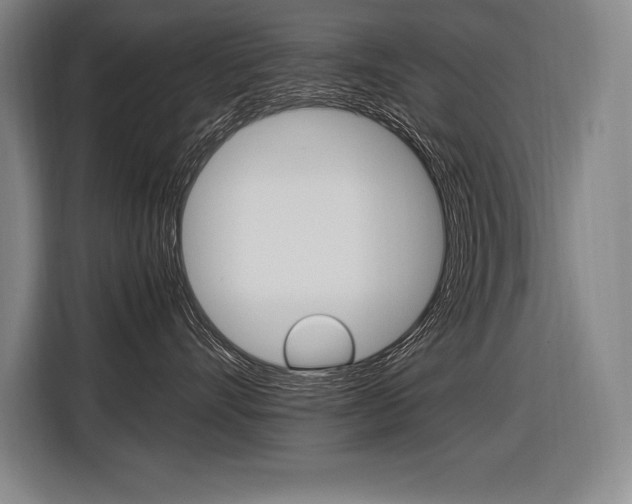 X0000116580528200912101312