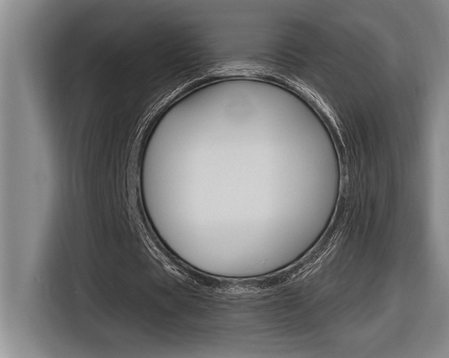 X0000116580529200912101311