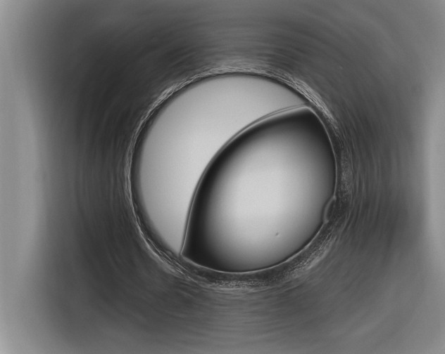 X0000116580530200912101311