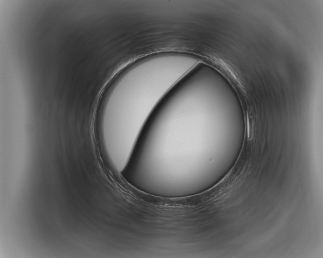 X0000116580531200912101311