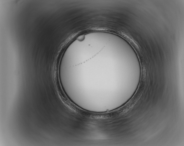 X0000116580533200912101311