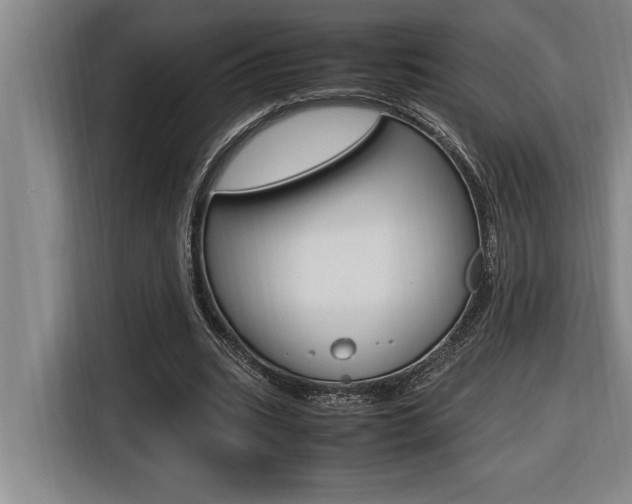 X0000116580535200912101311