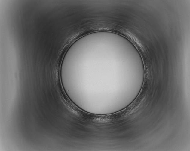 X0000116580537200912101311