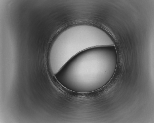 X0000116580538200912101311