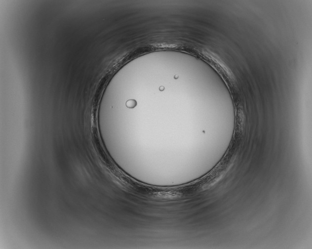 X0000116580541200912101311