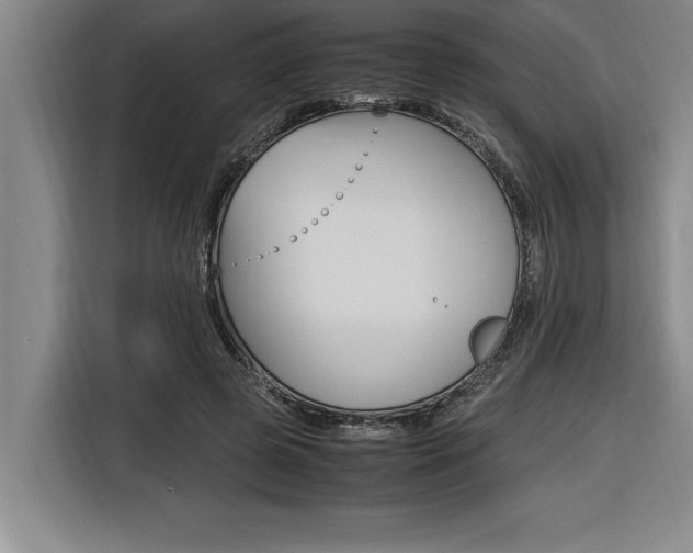 X0000116580545200912101312