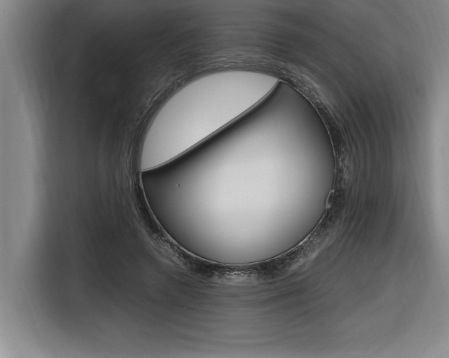 X0000116580546200912101312