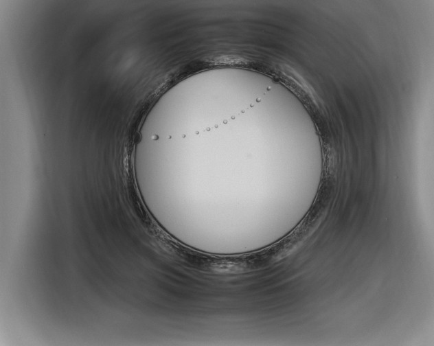X0000116580549200912101312