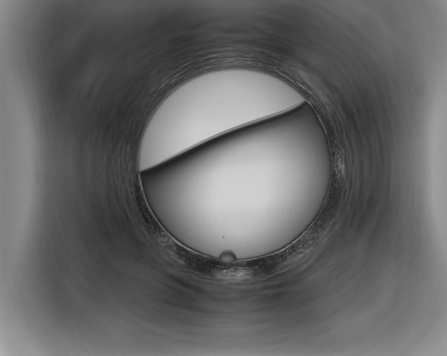 X0000116580551200912101312