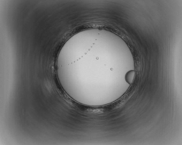 X0000116580553200912101312