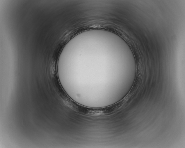 X0000116580554200912101312