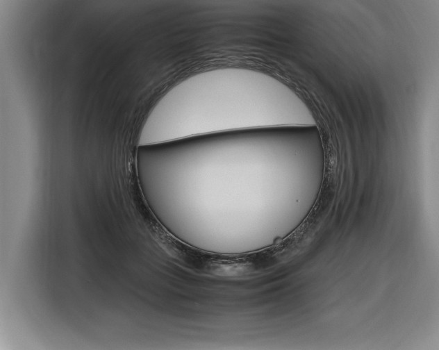 X0000116580555200912101312