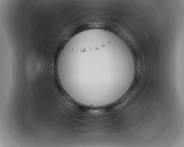 X0000116580557200912101312
