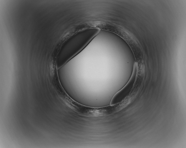 X0000116580558200912101312