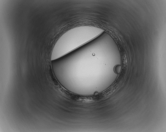 X0000116580559200912101312