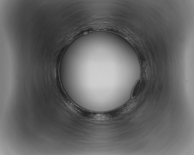 X0000116580562200912101312