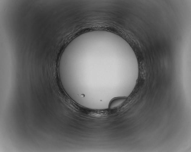 X0000116580563200912101312