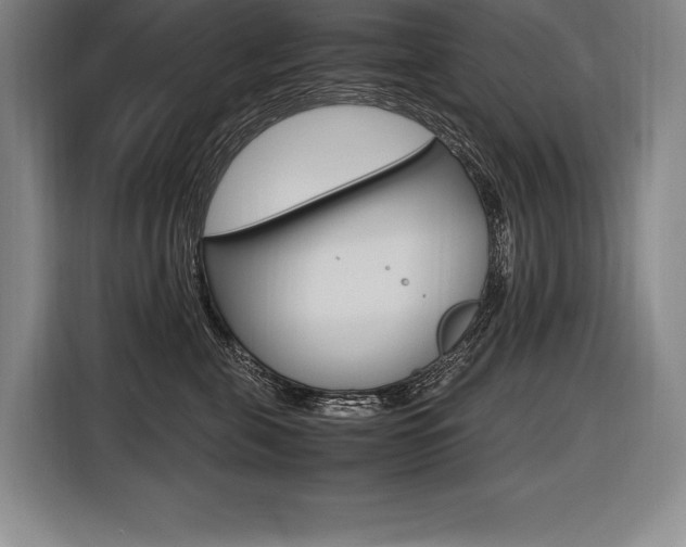 X0000116580571200912101312