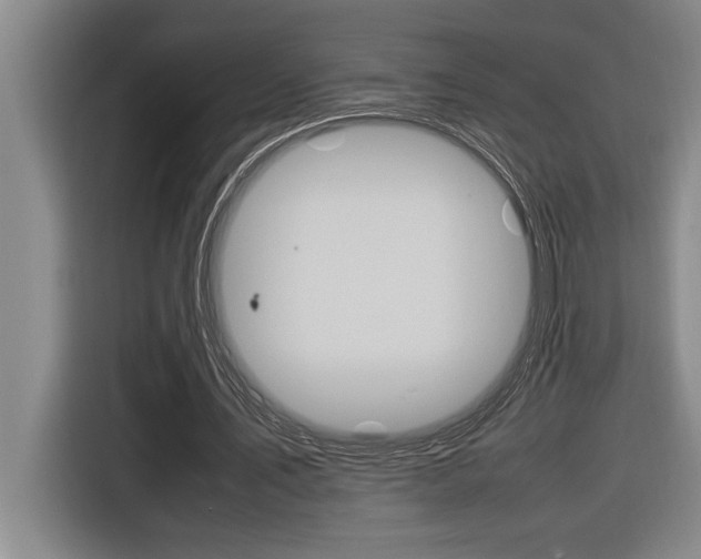 X0000116580579200912101311