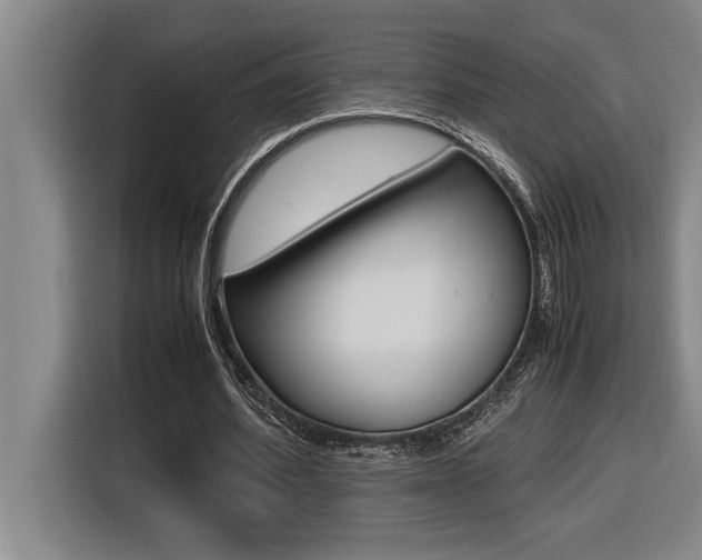 X0000116580580200912101311