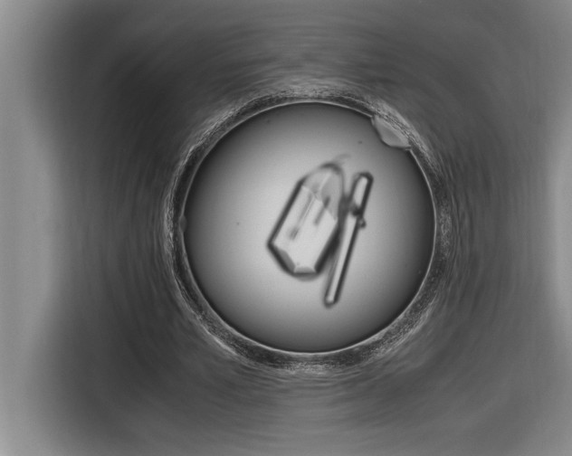 X0000116580581200912101311