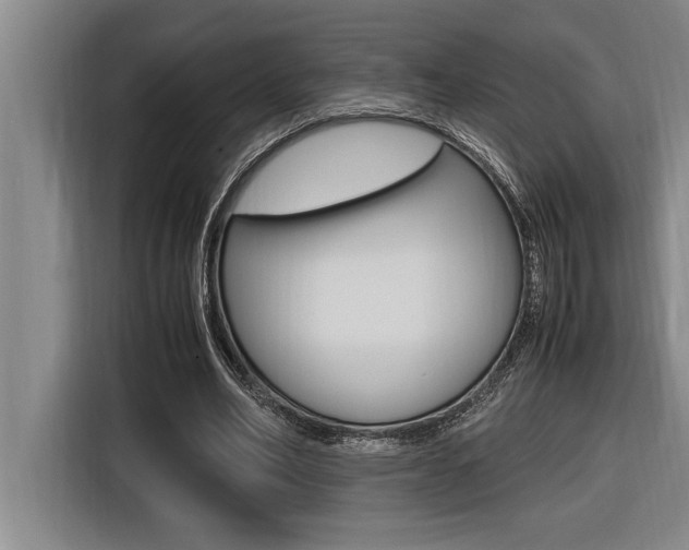 X0000116580582200912101311