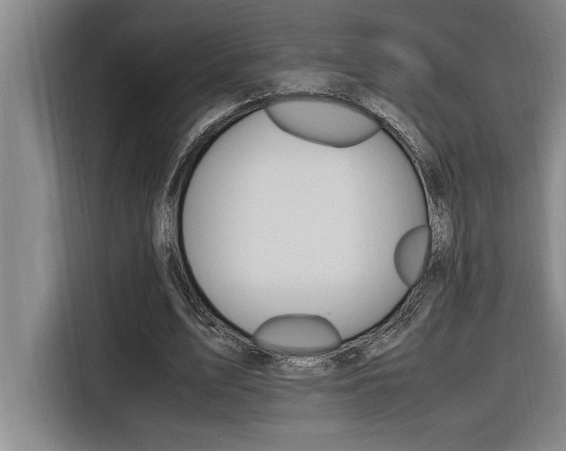X0000116580583200912101311