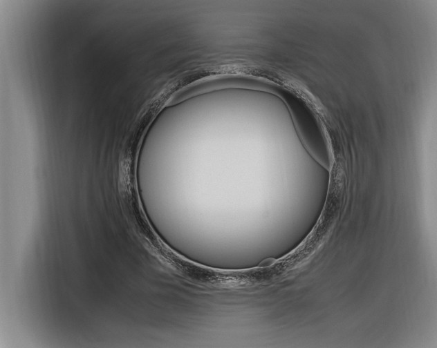 X0000116580585200912101311