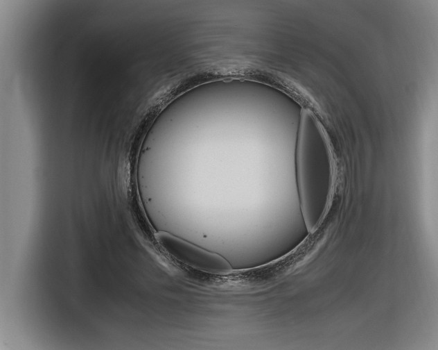 X0000116580589200912101311