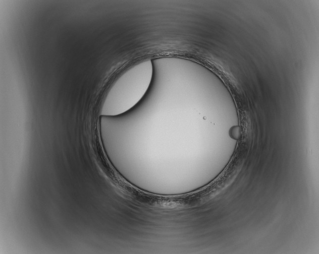 X0000116580590200912101311