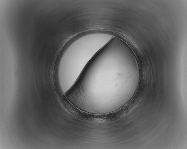 X0000116580592200912101311