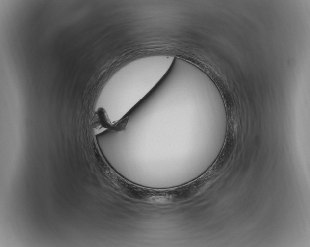 X0000116580595200912101311