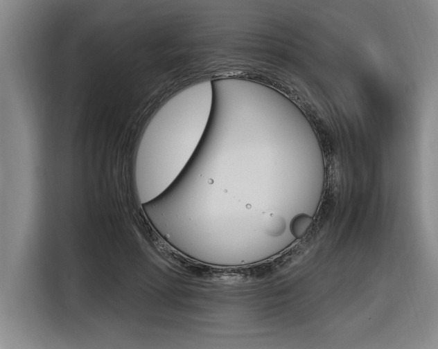 X0000116580598200912101311
