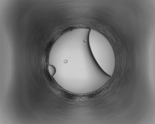X0000116580599200912101311