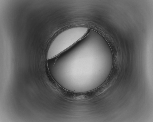 X0000116580600200912101311