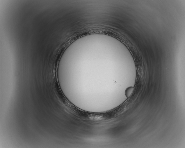 X0000116580602200912101311