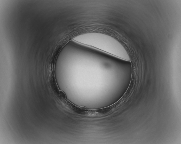 X0000116580605200912101311