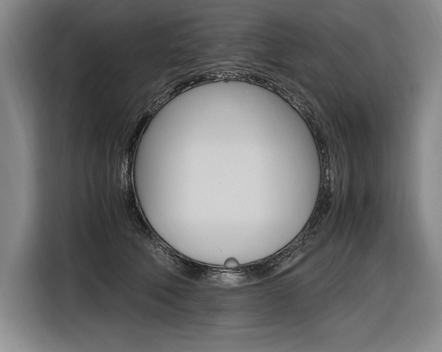 X0000116580610200912101311
