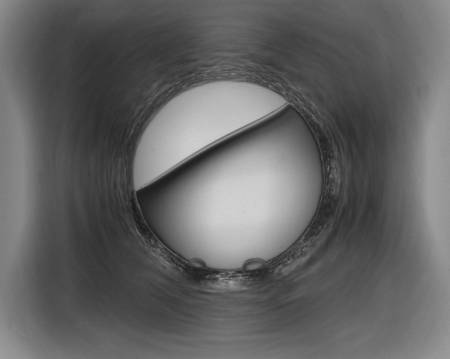 X0000116580612200912101311